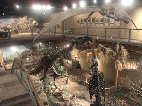 Glendive Dinosaur Museum - Overview